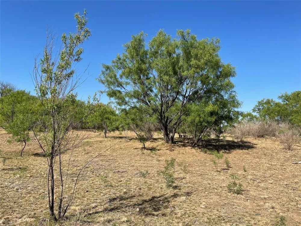 County Road 346 Gouldbusk, TX 76845