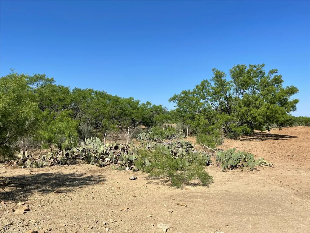 County Road 346 Gouldbusk, TX 76845