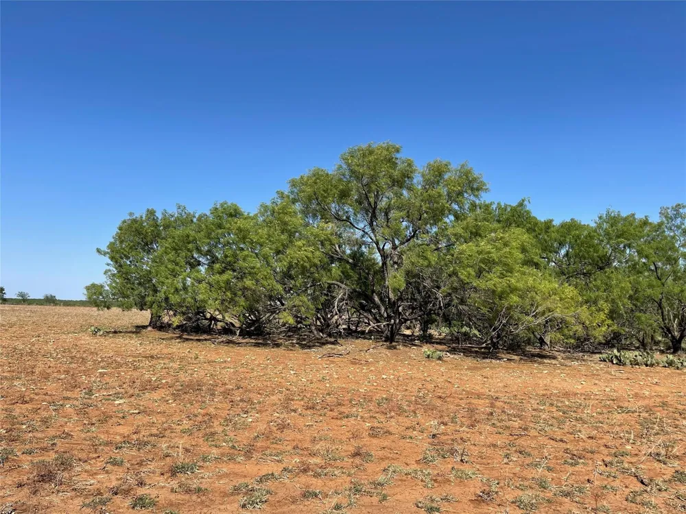 County Road 346 Gouldbusk, TX 76845