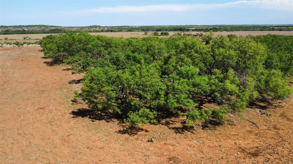 County Road 346 Gouldbusk, TX 76845