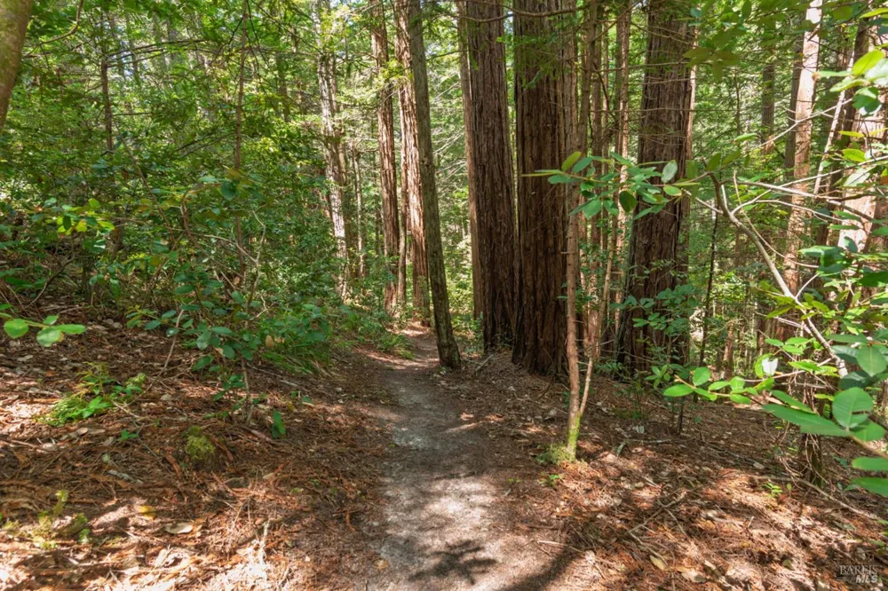 32401 S Highway 1 Gualala, CA 95445