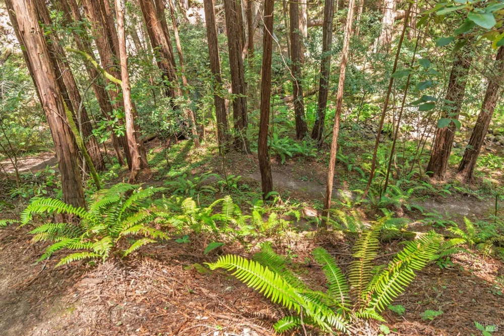 32401 S Highway 1 Gualala, CA 95445