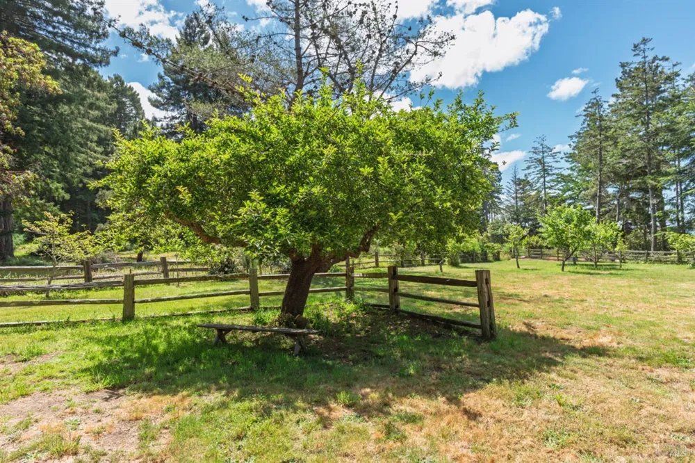 32401 S Highway 1 Gualala, CA 95445