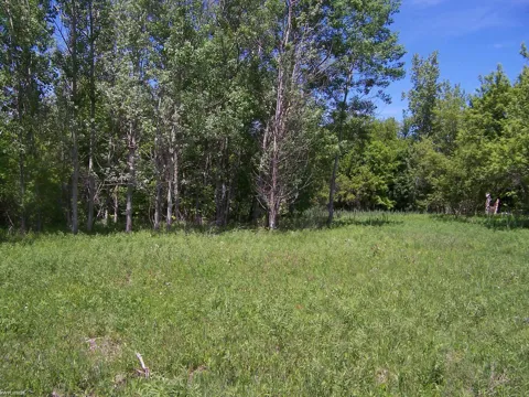 Lapeer Rd Road