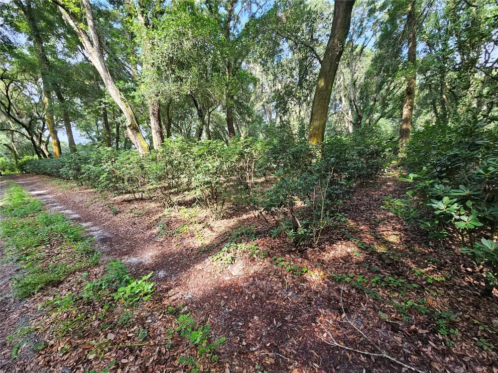 610 BURNSED ROAD Pierson, FL 32180