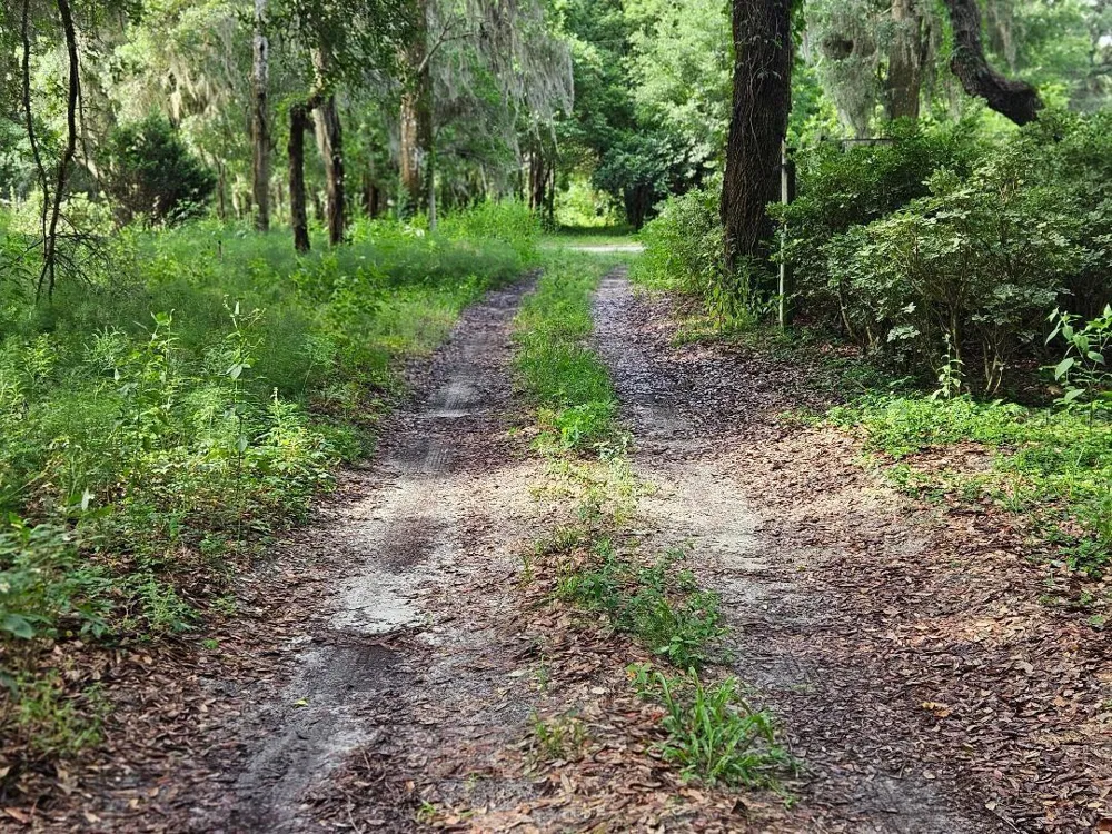 610 BURNSED ROAD Pierson, FL 32180