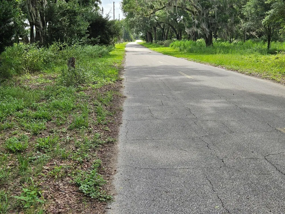 610 BURNSED ROAD Pierson, FL 32180