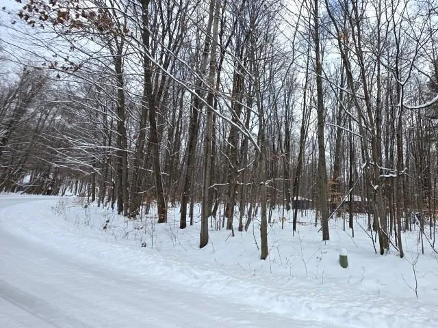 29 Undervalden Drive Custer Township, MI 49615