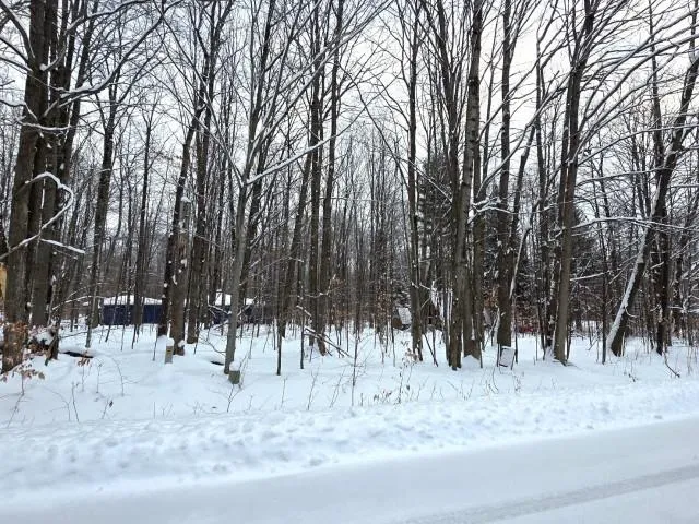 29 Undervalden Drive Custer Township, MI 49615