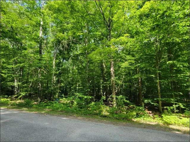 29 Undervalden Drive Custer Township, MI 49615