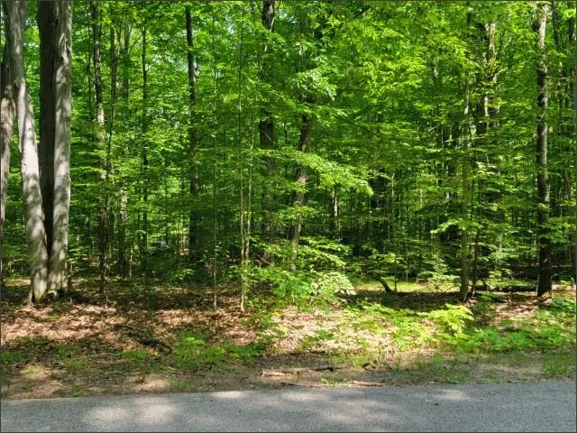29 Undervalden Drive Custer Township, MI 49615