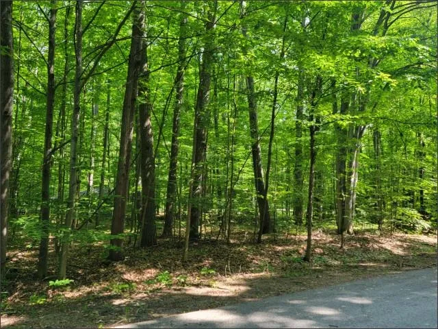 29 Undervalden Drive Custer Township, MI 49615
