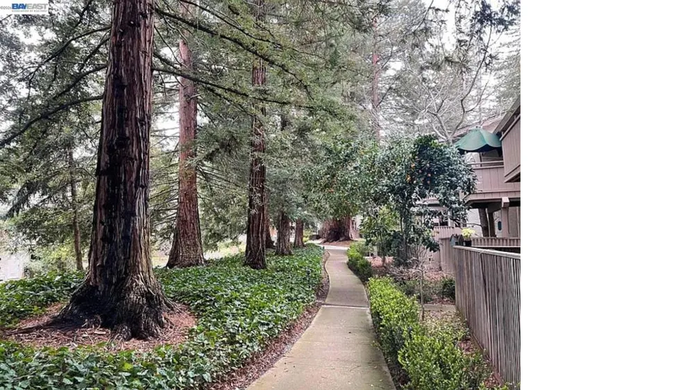 20720 4Th St #3 Saratoga, CA 95070