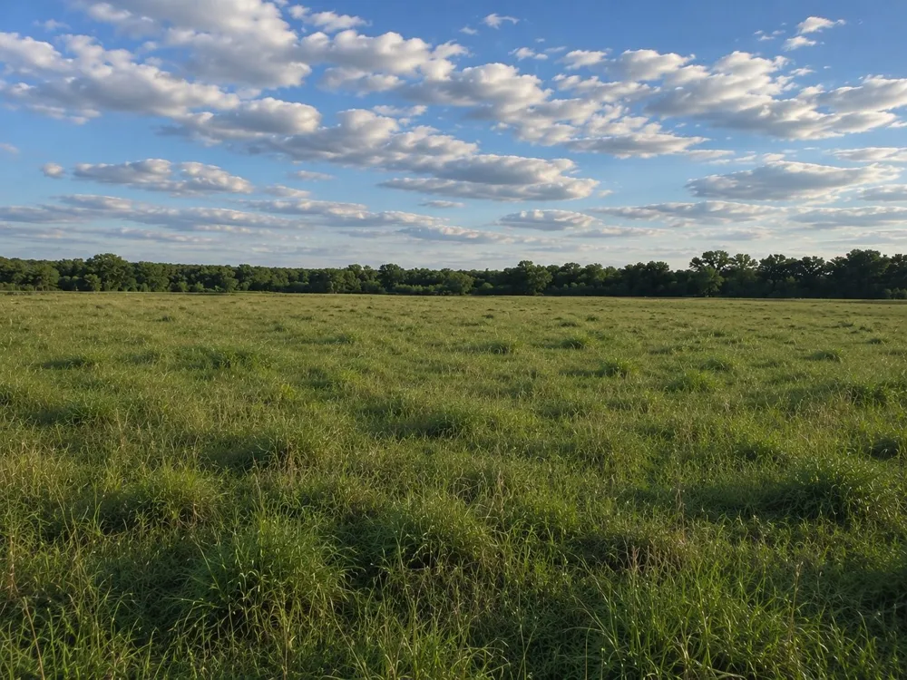 Address Not Shown Luling, TX 78648