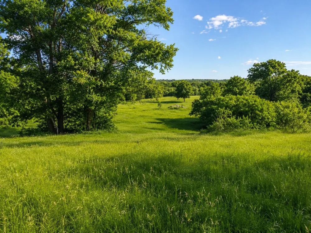 Address Not Shown Luling, TX 78648