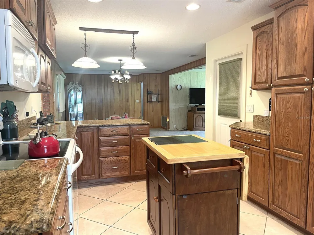 4691 CR 118 Wildwood, FL 34785