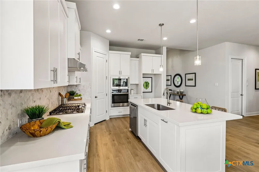 310 Prickly Poppy Loop Kyle, TX 78640