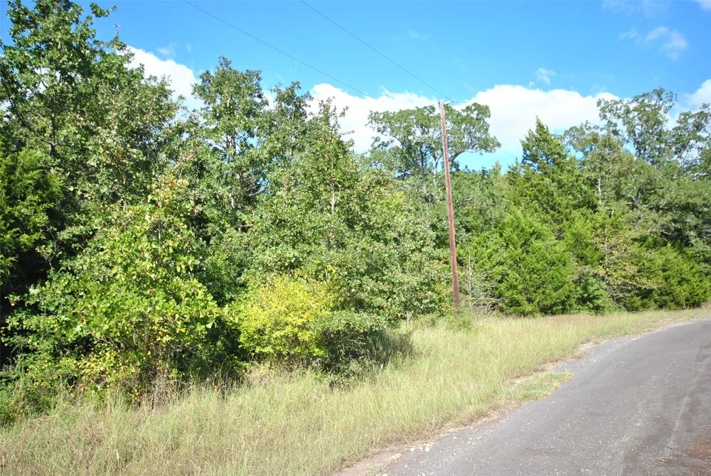 24 LCR 910 Jewett, TX 75846