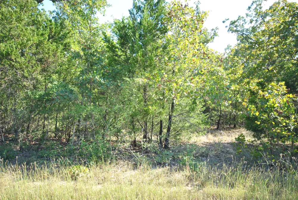 24 LCR 910 Jewett, TX 75846