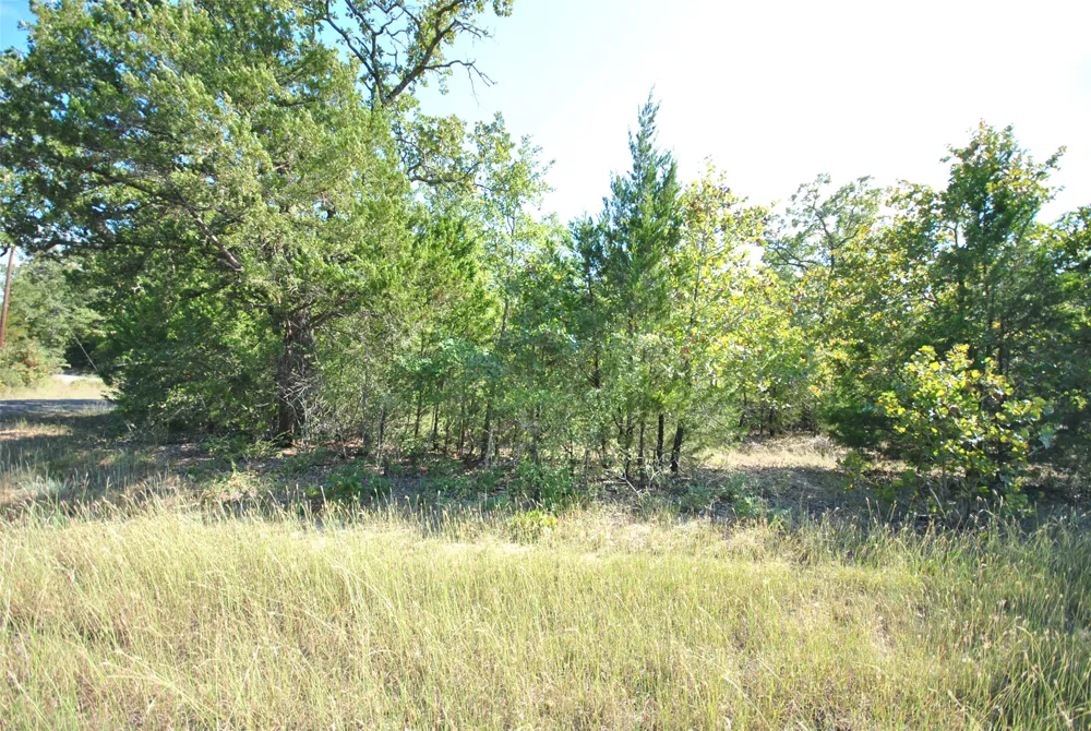 24 LCR 910 Jewett, TX 75846