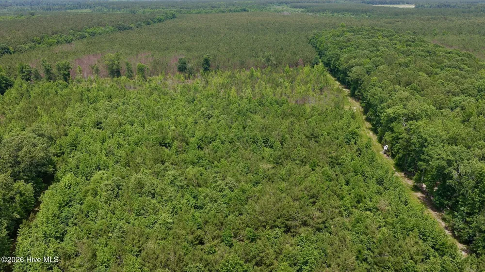 0 Indian Woods Road Windsor, NC 27983