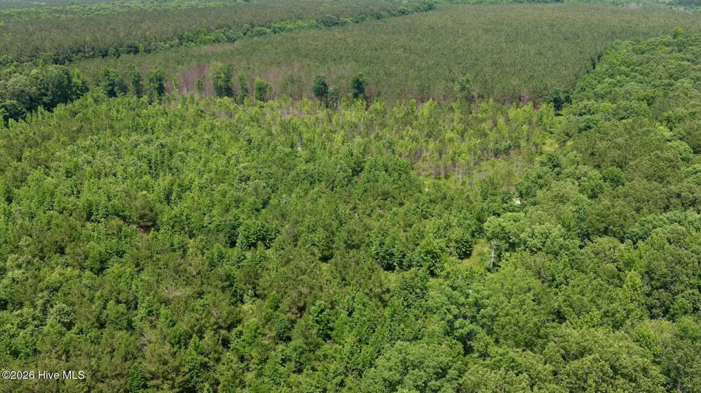 0 Indian Woods Road Windsor, NC 27983