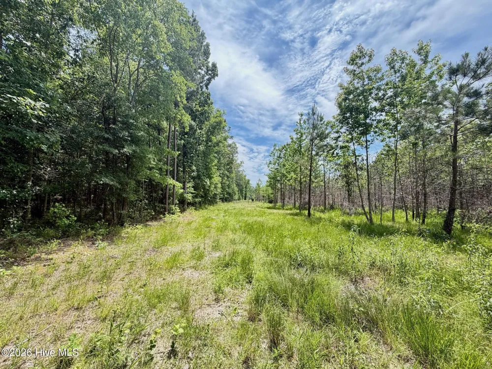 0 Indian Woods Road Windsor, NC 27983