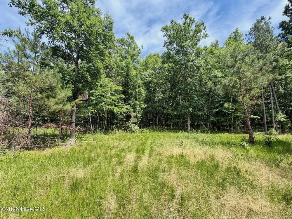 0 Indian Woods Road Windsor, NC 27983