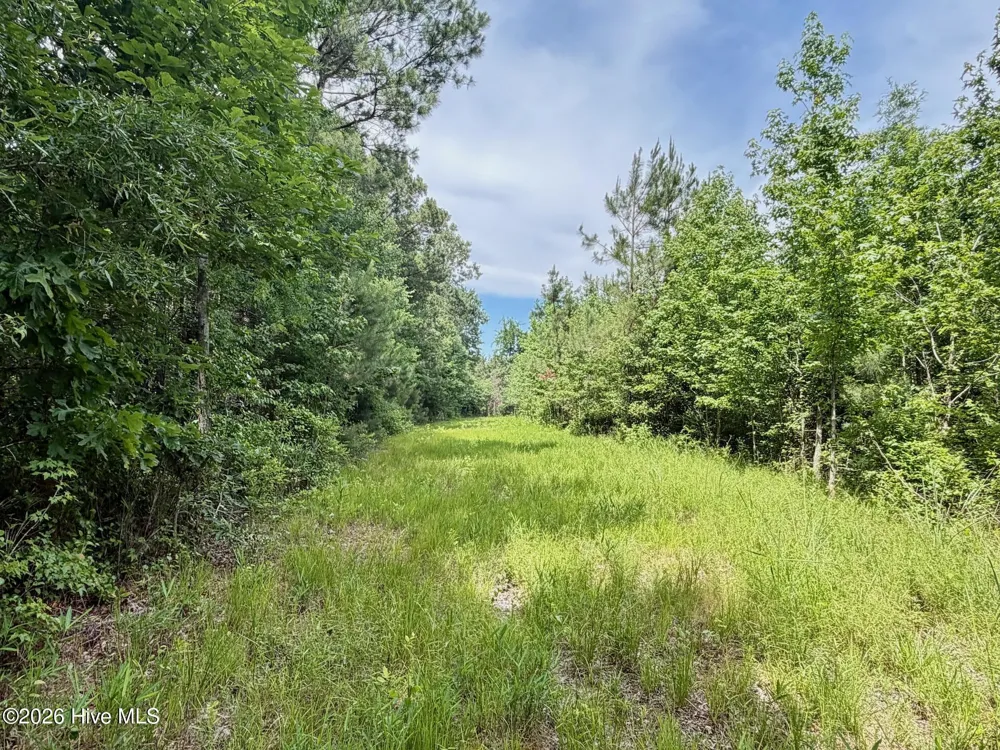 0 Indian Woods Road Windsor, NC 27983