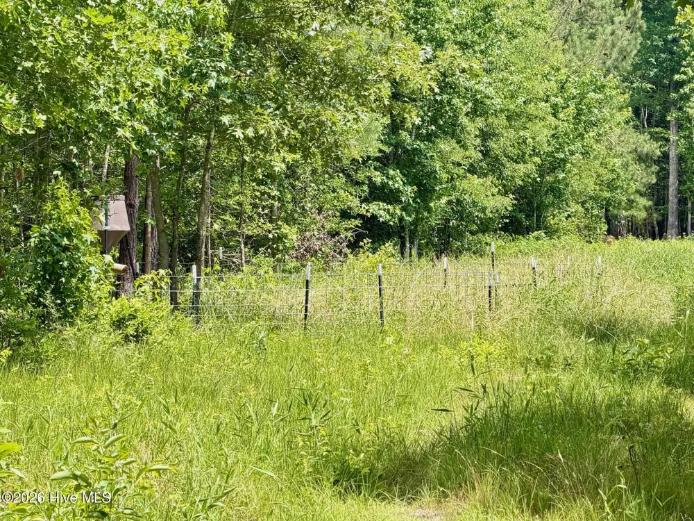 0 Indian Woods Road Windsor, NC 27983