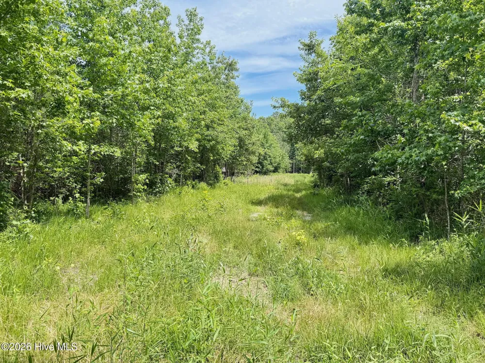 0 Indian Woods Road Windsor, NC 27983