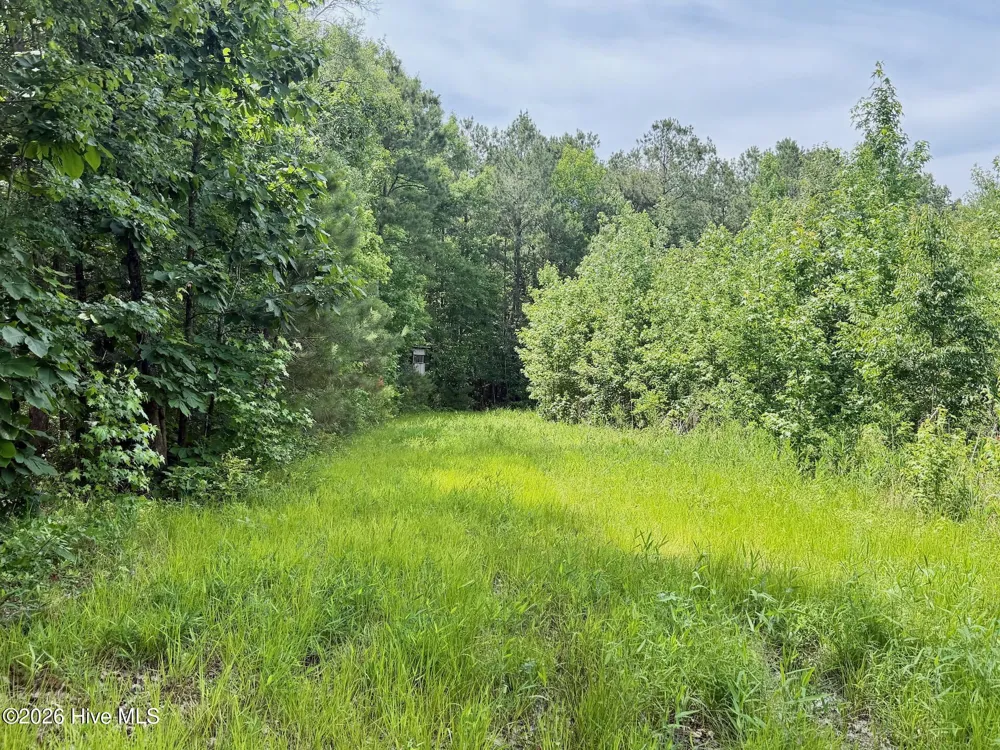0 Indian Woods Road Windsor, NC 27983