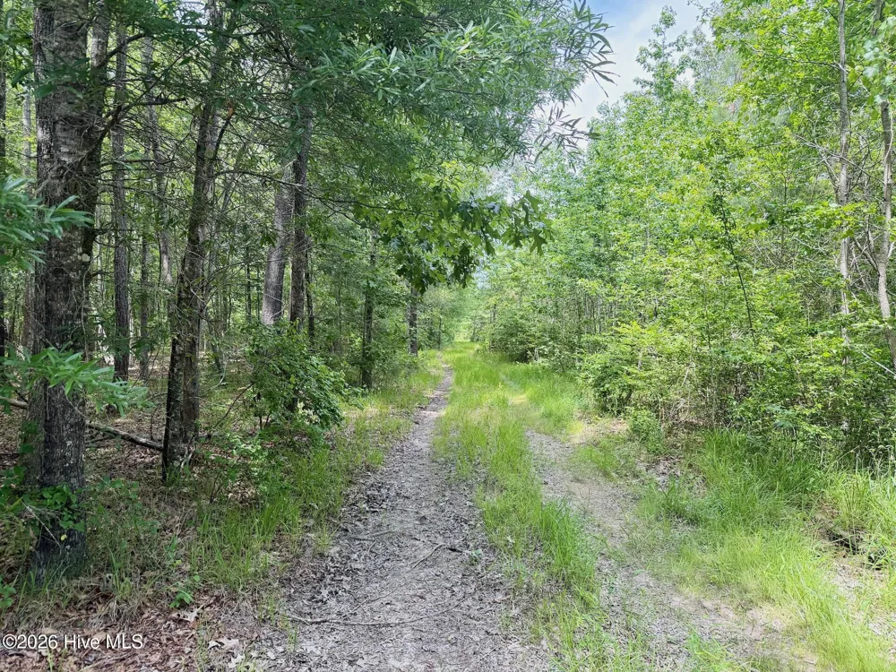 0 Indian Woods Road Windsor, NC 27983