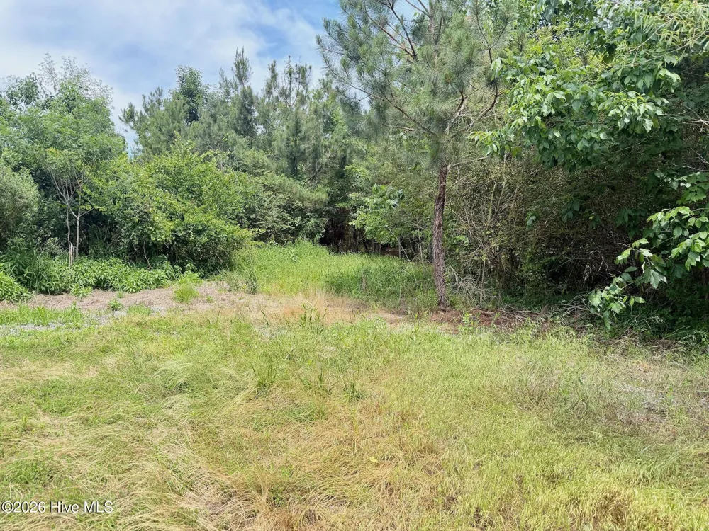 0 Indian Woods Road Windsor, NC 27983
