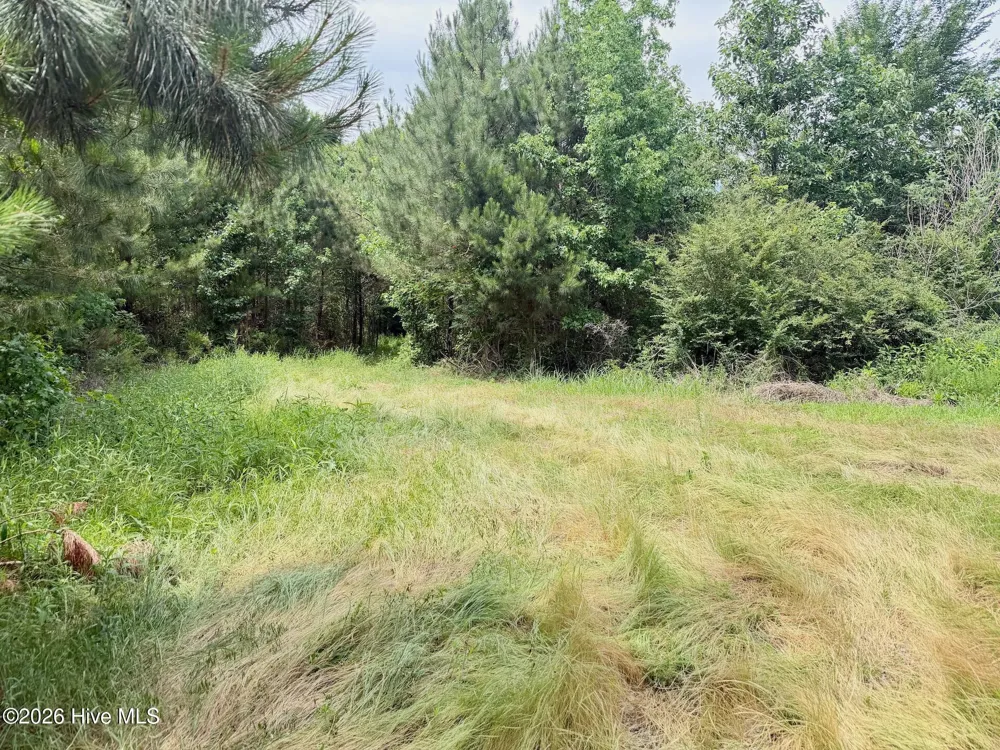0 Indian Woods Road Windsor, NC 27983