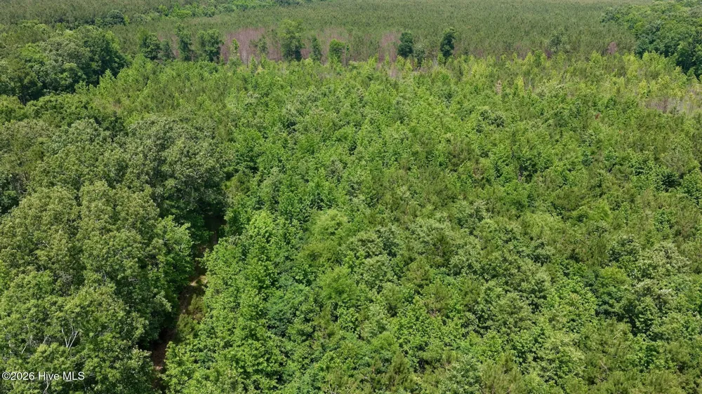 0 Indian Woods Road Windsor, NC 27983