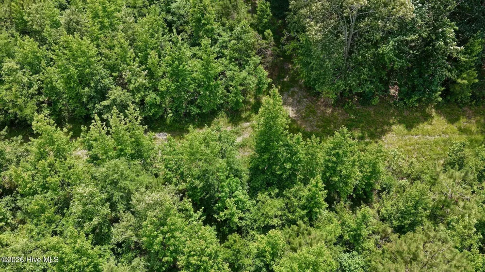 0 Indian Woods Road Windsor, NC 27983