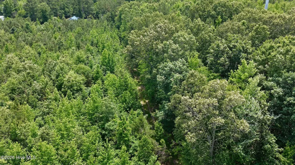 0 Indian Woods Road Windsor, NC 27983