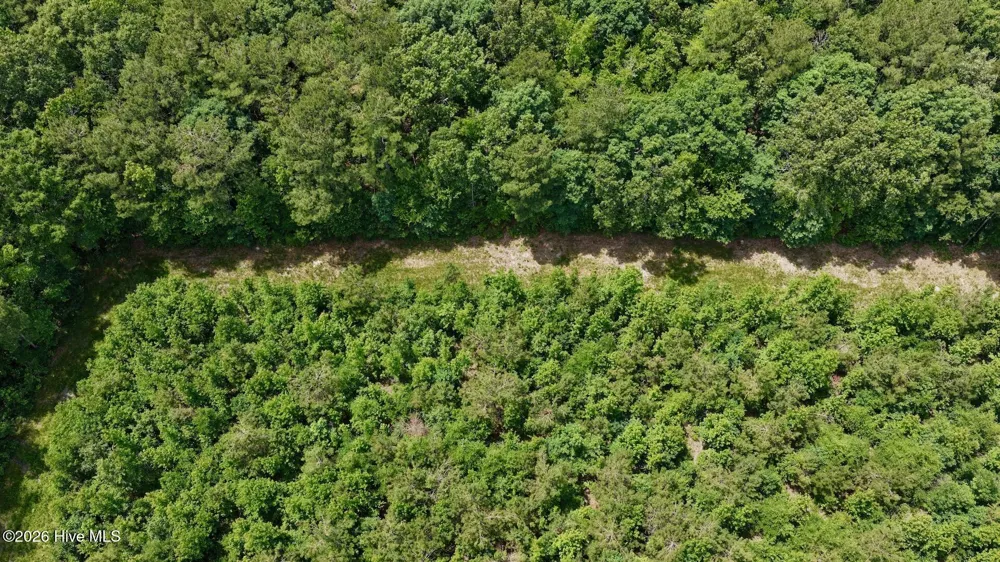 0 Indian Woods Road Windsor, NC 27983