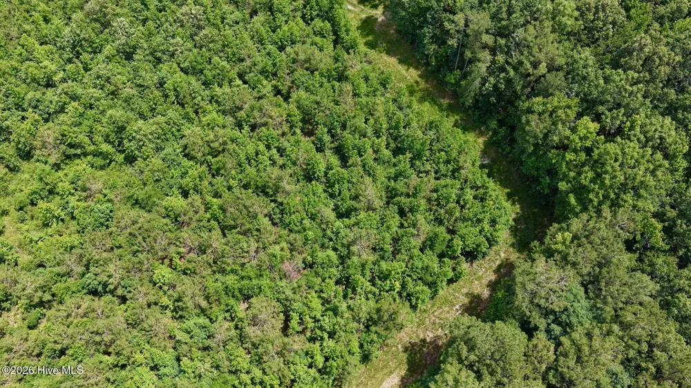0 Indian Woods Road Windsor, NC 27983