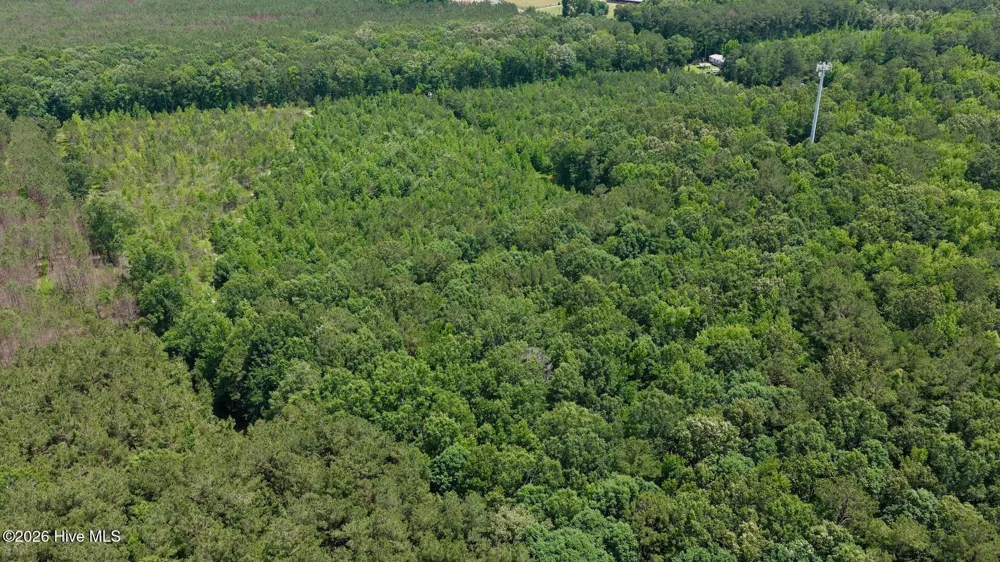 0 Indian Woods Road Windsor, NC 27983