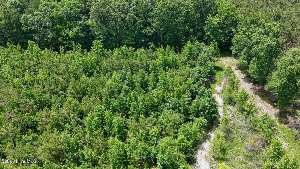 0 Indian Woods Road Windsor, NC 27983