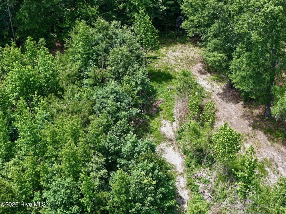 0 Indian Woods Road Windsor, NC 27983