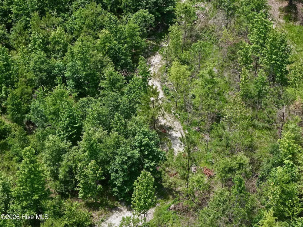 0 Indian Woods Road Windsor, NC 27983