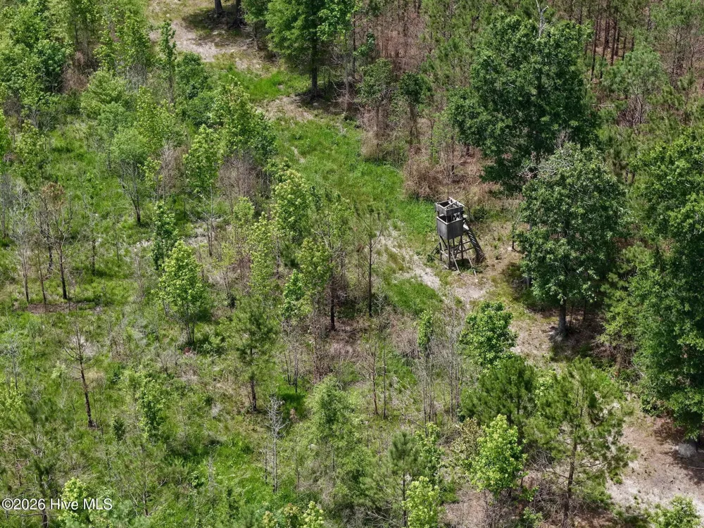 0 Indian Woods Road Windsor, NC 27983