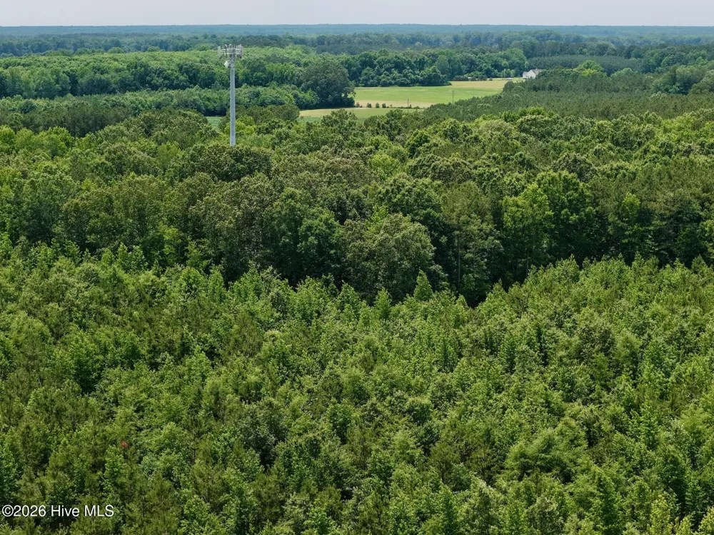 0 Indian Woods Road Windsor, NC 27983