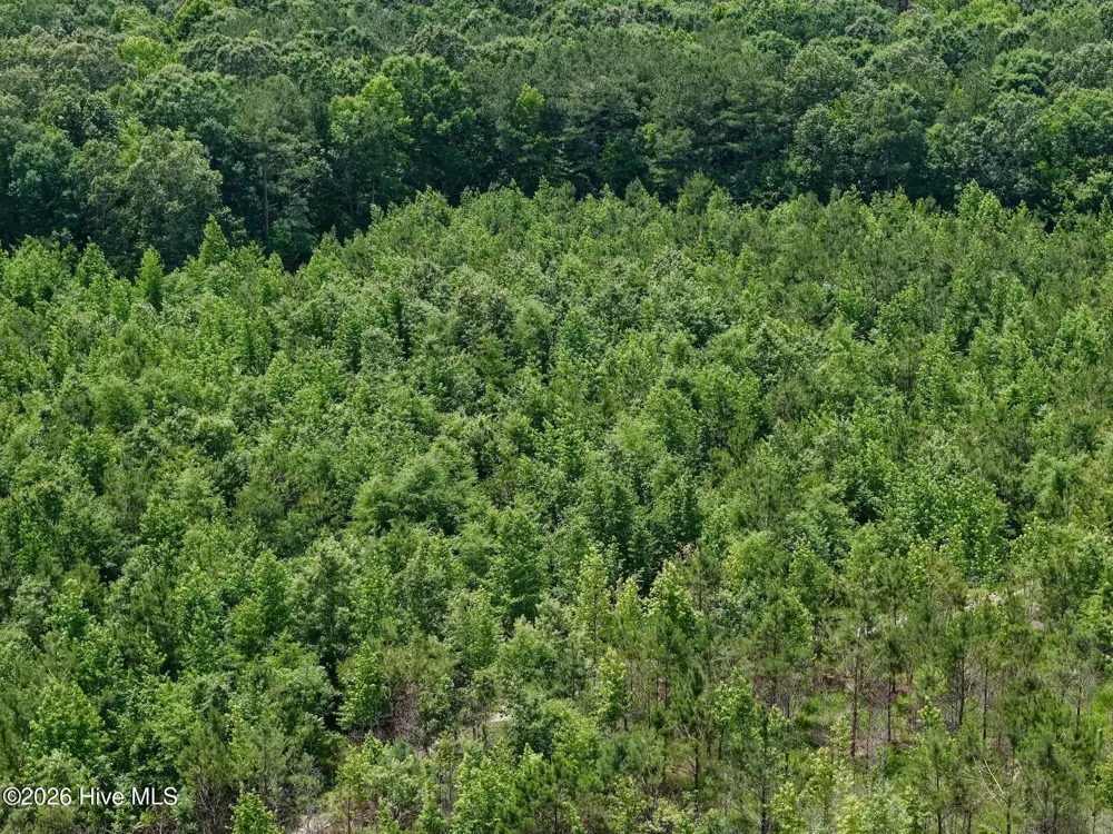 0 Indian Woods Road Windsor, NC 27983