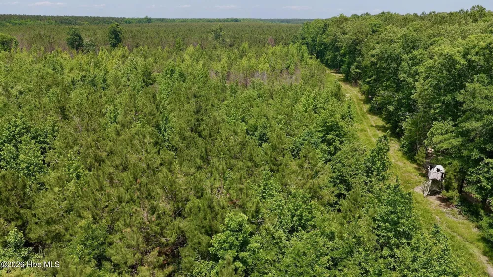 0 Indian Woods Road Windsor, NC 27983