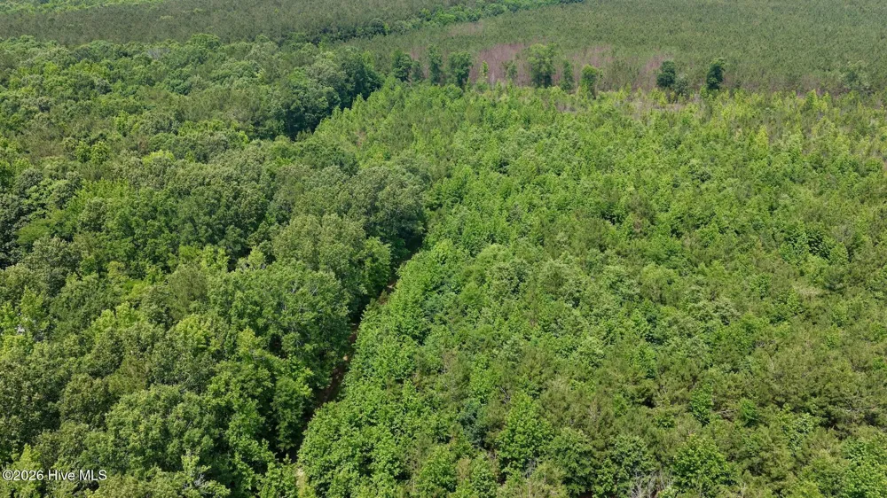 0 Indian Woods Road Windsor, NC 27983