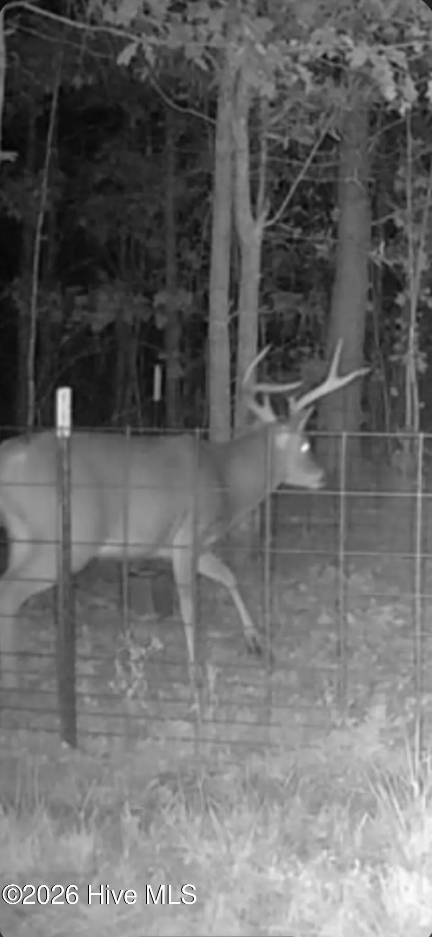 0 Indian Woods Road Windsor, NC 27983